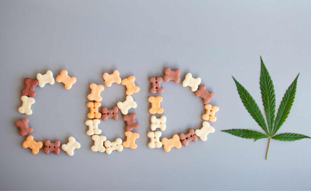 CBD Dog Treats for Anxiety