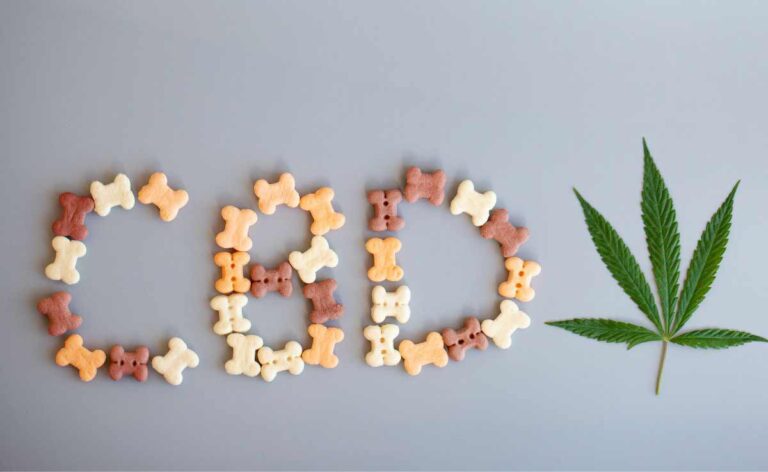 CBD Dog Treats for Anxiety