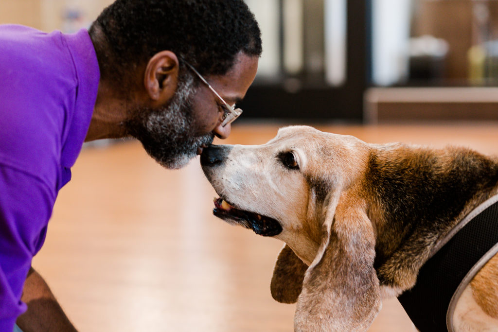 Understanding Joint Health in Dogs
