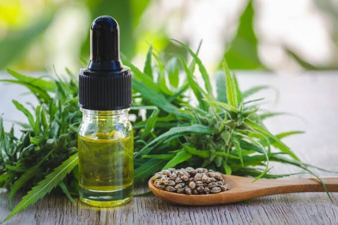 CBD Treats for Dogs